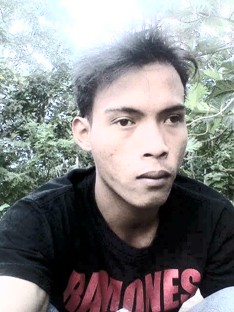 Kang4di3
